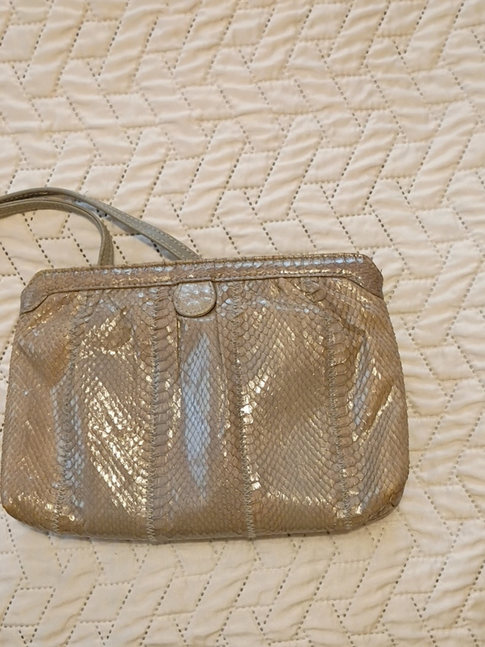 Shimmery Neutral Python-Texture Shoulder Bag